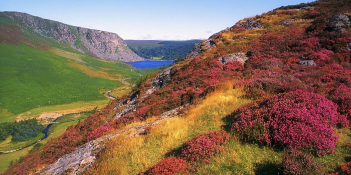 1920x1080 Best 63+ Irish Wallpaper on HipWallpaper | Irish Wallpaper