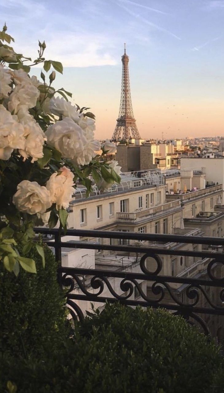 730x1280 Paris Aesthetic Wallpapers - Top Free Paris Aesthetic Backgrounds