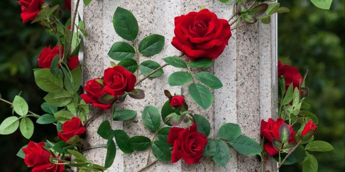 1920x1080 Download wallpaper 1920x1080 roses, column, decoration, garden