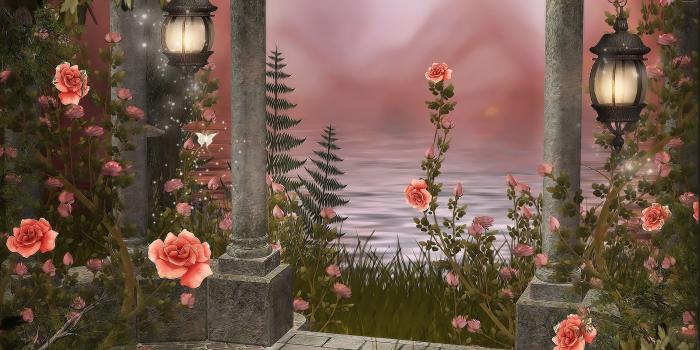 3000x2000 rose garden is an HD wallpaper posted in Flowers category. You can