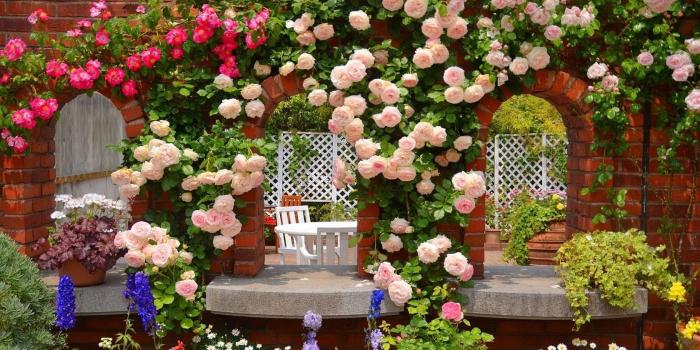 1680x1050 Rose Garden Wallpapers HD Wallpaper Backgrounds Of Your Choice