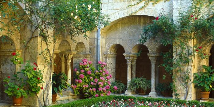 1600x1200 Rose garden wallpaper, rose wallpaper - Best 2 Travel Wallpaper