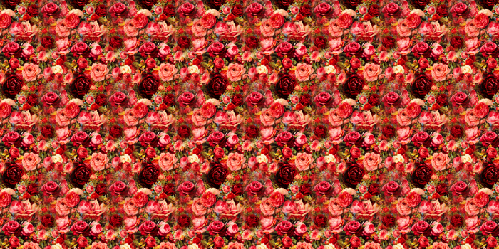 1920x1080 Free download this Rose Garden Desktop Wallpaper is easy Just save