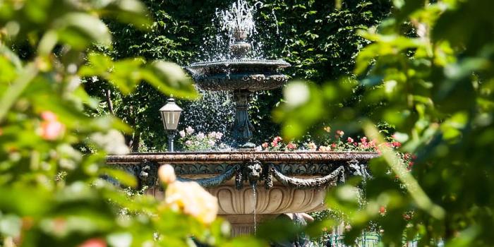 910x1244 HD wallpaper: fountain, roses, garden rose garden, water, vienna