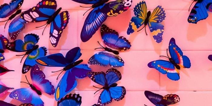 1218x2636 Artistic Butterfly iPhone Xs Max Wallpaper | Butterfly wallpaper