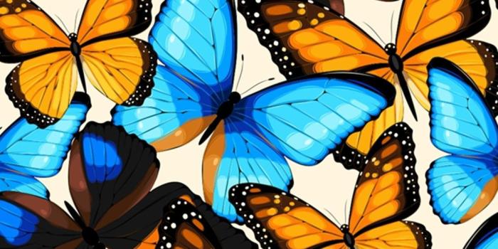 1080x1920 Good morning, beautiful. I miss you. | Butterfly wallpaper iphone