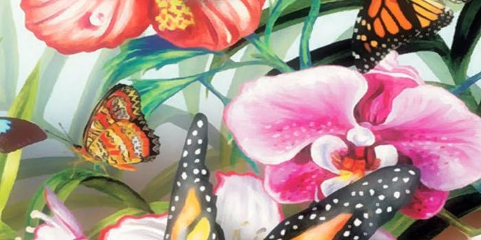 1080x1920 53+ Butterfly Screensavers and Wallpapers