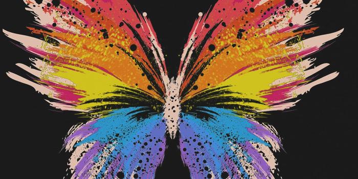 1242x2208 iPhone Wallpaper | Butterfly, Insect, Moths and butterflies, Wing