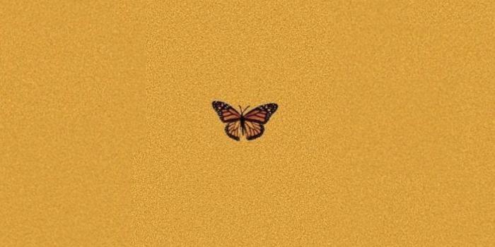 828x1792 Aesthetic Butterfly Wallpapers