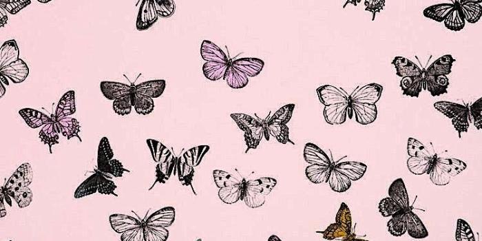 750x1512 Virag on Kreatív | Butterfly wallpaper, Iphone wallpaper