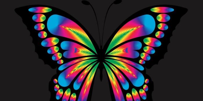 938x1668 Download wallpaper 938x1668 butterfly, shine, bright, multicolored