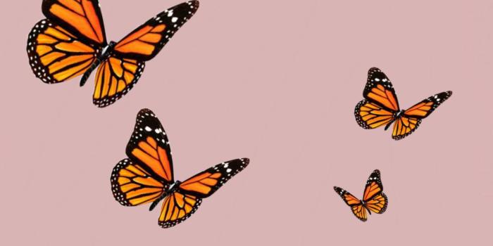 1242x2208 Credit YouTube Cali Kessy #disneyphonebackgrounds (2020