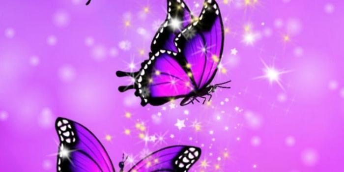 750x1541 Midnight Purple Butterfly Wallpapers - Top Free Midnight Purple