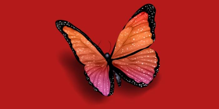 1600x2560 Butterfly Iphone Wallpaper Aesthetic in 2020 | Butterfly wallpaper