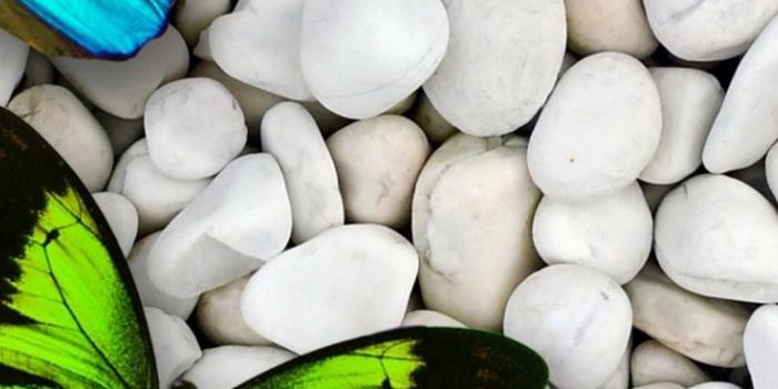 1080x1920 Butterfly iPhone Wallpapers (52 pictures) - WallpaperBoat