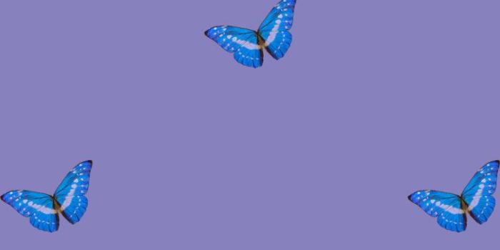 757x1485 Blue butterflies on purple background for phones - Idea Wallpapers