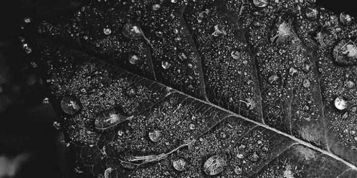720x1440 Wallpaper Hd Iphone Xr Black