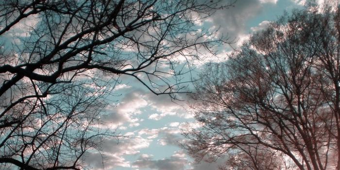 1680x1050 Elevation of Euclid Ave, Louisville, KY, USA - Topographic Map