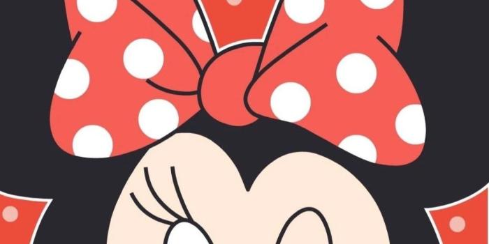 1080x1920 Minnie Mouse Phone Wallpapers - Top Free Minnie Mouse Phone