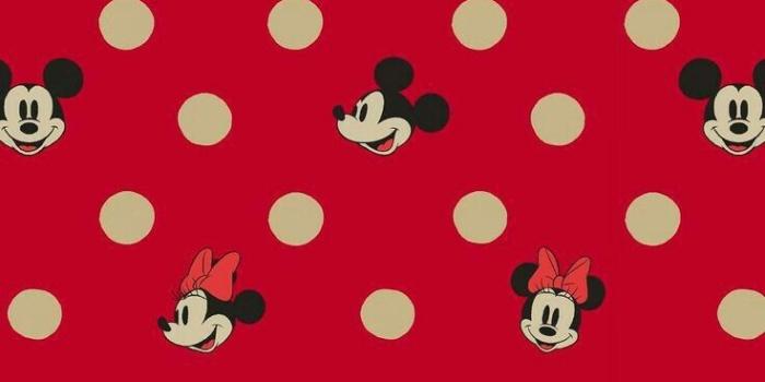 736x1136 wallpaper iphone minnie & mickey mouse on We Heart It