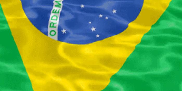 1440x2560 Brazil Flag Wallpaper Hd posted by Samantha Thompson