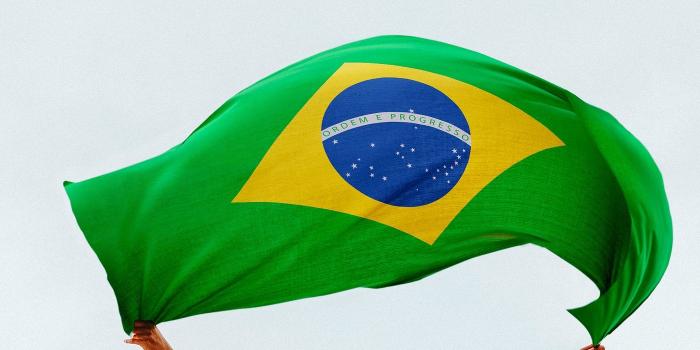 1400x2488 Brazil mobile phone lock screen | Royalty free photo - 1214174