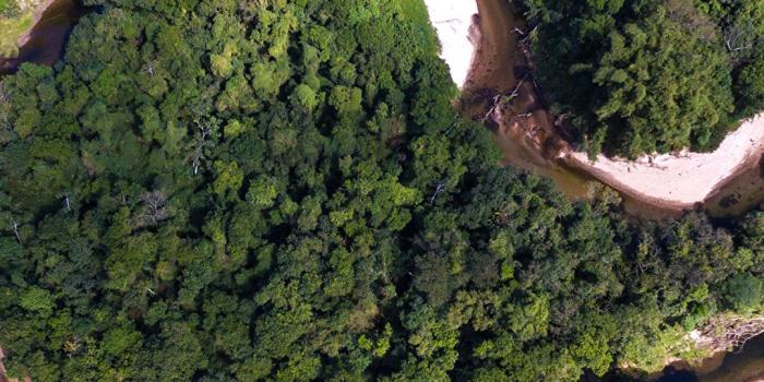 1080x1920 Pictures Brazil Amazon Jungle Nature forest river From 1080x1920