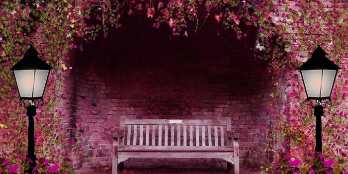 1800x1200 Beautiful Flower House | HD Nature Wallpapers for Mobile and Desktop