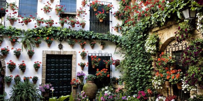 1920x1080 Download wallpaper 1920x1080 house, building, flowers, beautiful