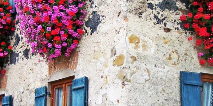 1080x1920 House With Colorful Flowers At Windows Android Wallpaper free download