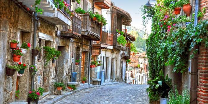 1920x1200 street, House, Flowers, Building, Old Building, Plants Wallpapers