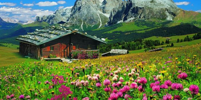 1920x1200 White Mountain Village Hd Wallpaper - Mountain Flowers House, Hd