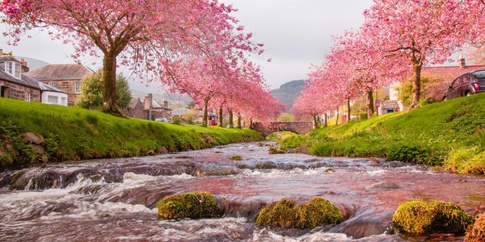 1920x1080 Time Flowers House Spring Trees Bridge River Sky Cool Wallpapers