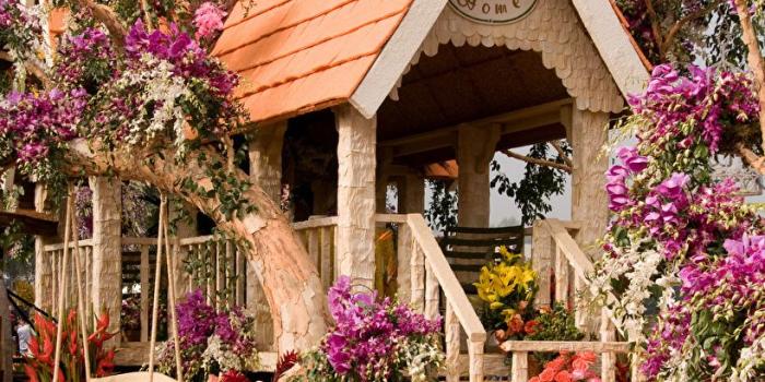 819x1024 Wallpaper California USA Pasadena rose orchids park tailflower