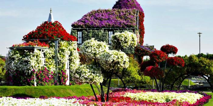 1366x768 Flower House in Dubai Miracle Garden Park | Series 'Unique living
