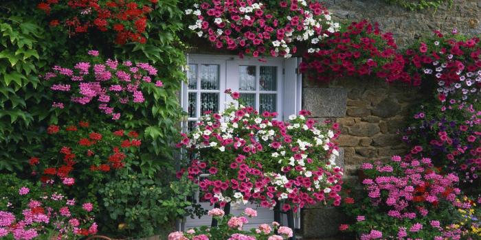 1366x768 Flower-house-summer-garden-landscape-design-facebook-timeline-cover