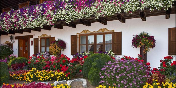 1280x819 Photos Bavaria Germany Reisbach Roses Flowers Petunia Tagetes Cities