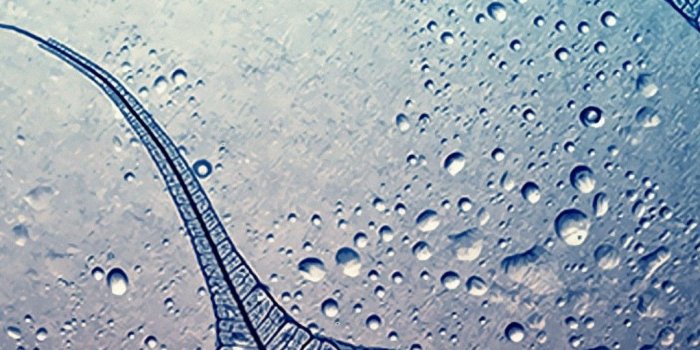 1080x1920 Wallpaper 1080x1920 ·① Download free beautiful full HD wallpapers