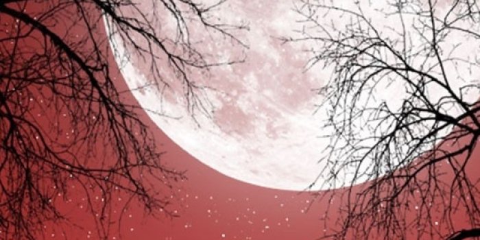 1080x1920 1080x1920 Full Moon Red Sky Dark Trees Galaxy s4 wallpaper