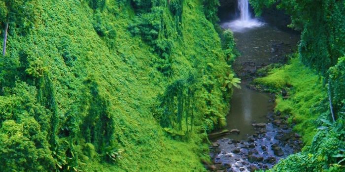 1080x1920 Wallpapers for Samsung Galaxy S4 - Thousands of HD Wallpapers for