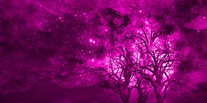 1024x768 78+] Cool Pink Wallpapers on WallpaperSafari