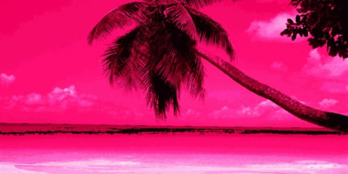 900x920 Zendha: Cool Pink Wallpapers