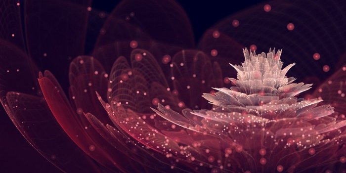 1280x800 Cool Pink and Black Wallpaper 23782 1280x800px