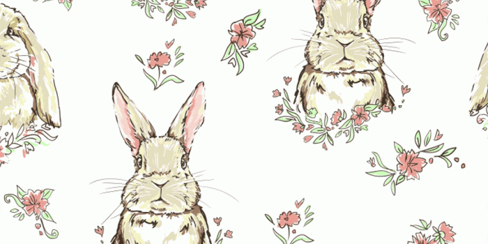 1080x1080 Briar the Bunny Wallpaper | Bunny Rabbit Wallpaper – Project Nursery