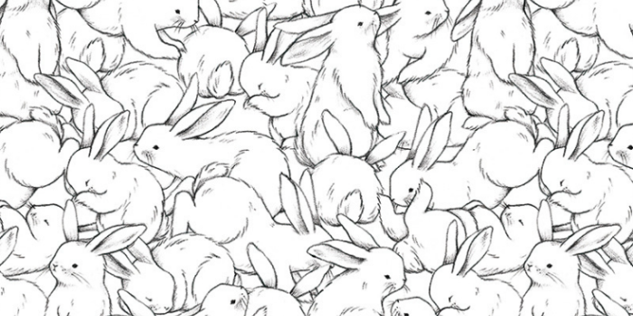 735x1102 Hundred Bunnies by Lilipinso - Black / White - Wallpaper - H0441