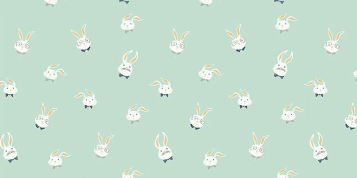 744x1392 Bunny Pattern Wallpapers - Top Free Bunny Pattern Backgrounds