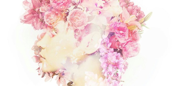 1240x1240 The Chainsmokers - Roses (feat. ROZES) [Single] | Roses drawing