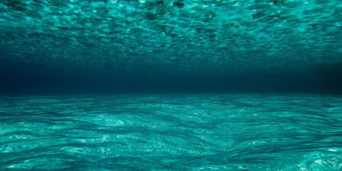 1600x900 Download wallpaper 1600x900 ocean, water, underwater, maldives