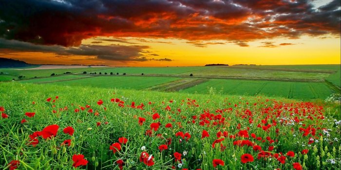 1920x1080 Full HD Nature Wallpapers (67+ images)