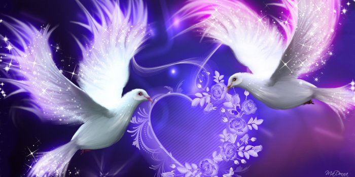 2560x1440 Purple Doves wallpaper | Cross paintings, Bird wallpaper, Love